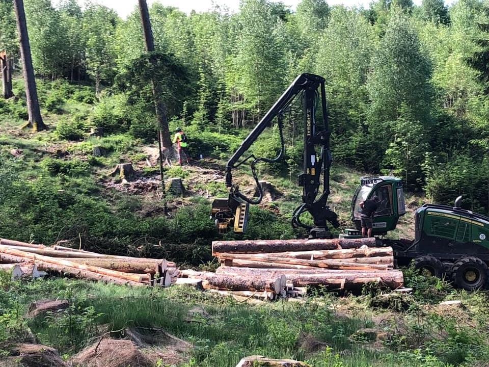 Forstmaschine mit Greifkran stapelt Baumstämme im Wald – Thomas Zinkl Forstbetrieb und Baumpflege