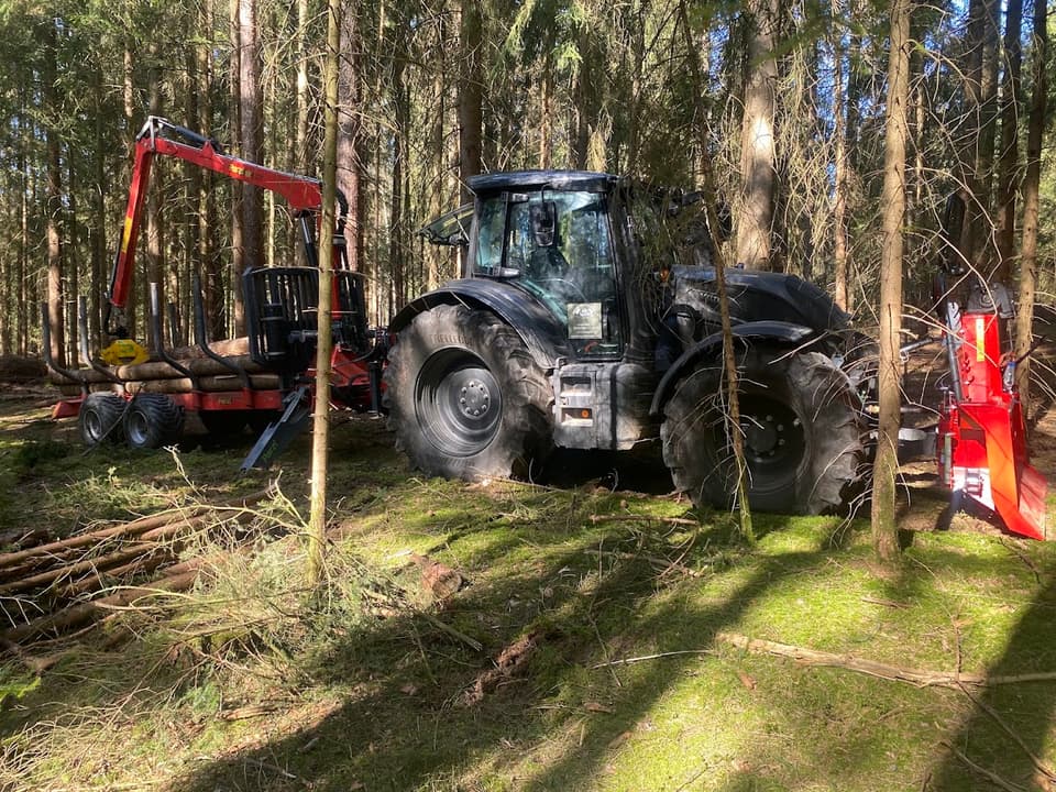 Thomas Zinkl Forstbetrieb und Baumpflege