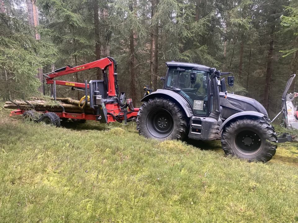 Thomas Zinkl Forstbetrieb und Baumpflege